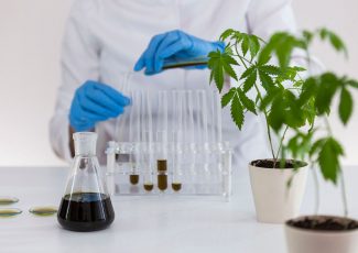 The FDA is worried about CBD. Should you be concerned? – Leafly