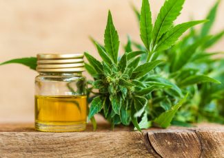 Does CBD Really Help Inflammation And Pain Or Is It Just A Myth? – Bitneni