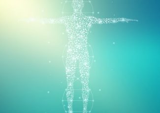 Endocannabinology with Dr. Rachel Knox – Project CBD