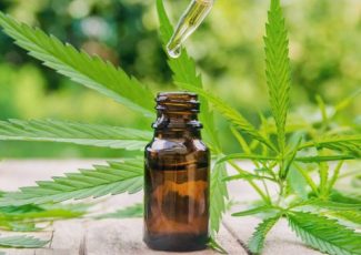 Science Update: CBD for Anxiety, Cancer, Heart Disease, Addiction & More – Project CBD
